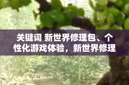 打造个性化游戏体验的必备工具图片