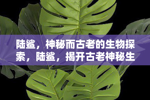揭开古老神秘生物的面纱图片