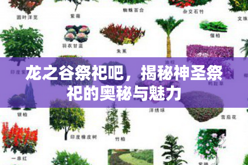 揭秘神圣祭祀的奥秘与魅力图片