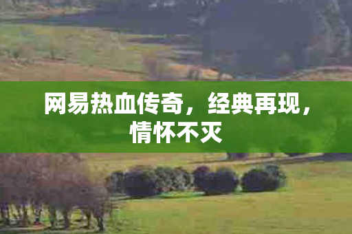网易热血传奇图片