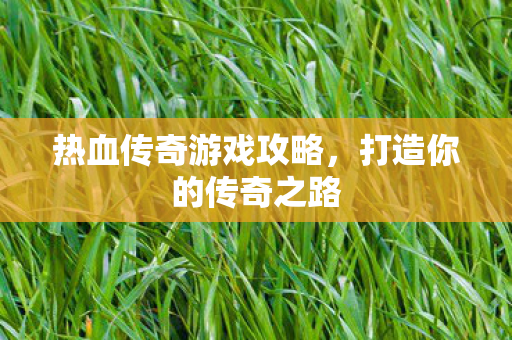 热血传奇游戏攻略图片