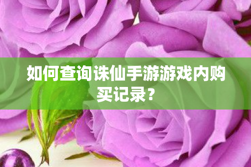 如何查询诛仙手游游戏内购买记录图片