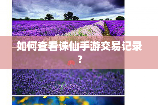 如何查看诛仙手游交易记录图片