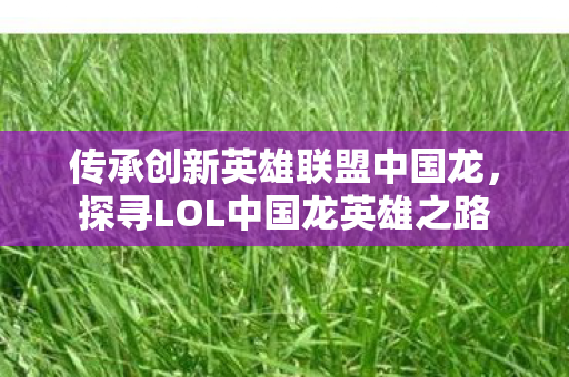 探寻LOL中国龙英雄之路图片