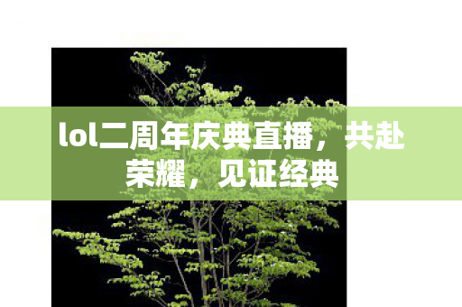 lol二周年庆典直播图片