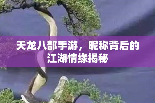 昵称背后的江湖情缘揭秘图片
