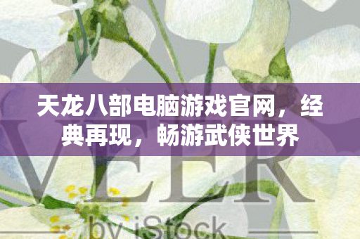 天龙八部电脑游戏官网图片
