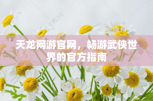 畅游武侠世界的官方指南图片