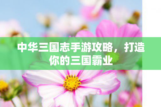 中华三国志手游攻略图片