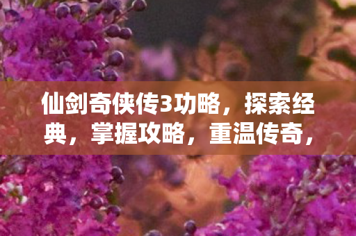 仙剑奇侠传3功略图片