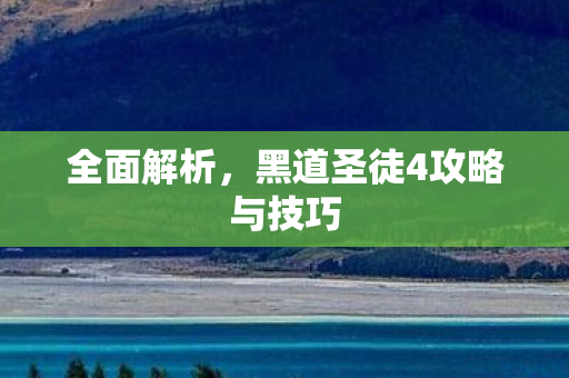 黑道圣徒4攻略与技巧图片