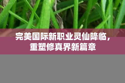 完美国际新职业灵仙降临图片