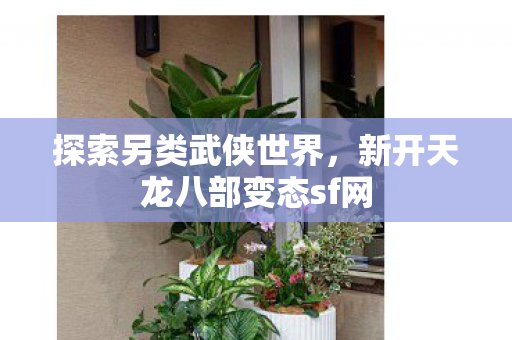 新开天龙八部变态sf网图片