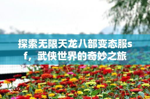 探索无限天龙八部变态服sf图片