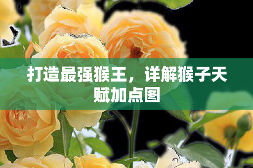 详解猴子天赋加点图图片