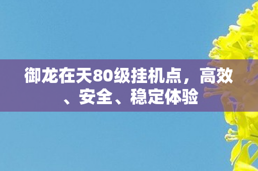 御龙在天80级挂机点图片