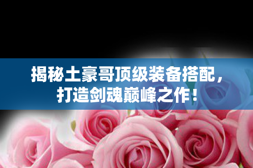 揭秘土豪哥顶级装备搭配图片