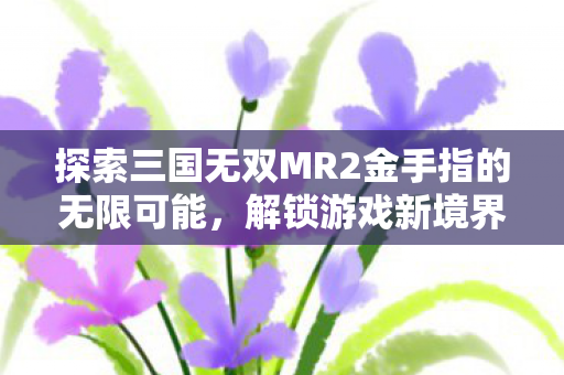 探索三国无双MR2金手指的无限可能,解锁游戏新境界,解锁三国无双MR2新境界,金手指打造无限可能 探索三国无双MR2金手指的无限可能,解锁游戏新境界,解锁三国无双MR2新境界,金手指打造无限可能