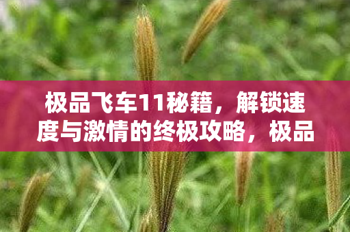 解锁速度与激情的终极攻略图片