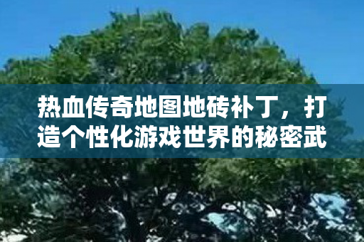 打造个性化游戏世界的秘密武器图片