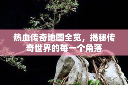 揭秘传奇世界的每一个角落图片