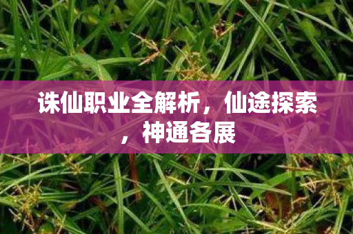 诛仙职业全解析图片