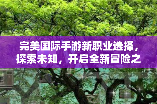 完美国际手游新职业选择图片