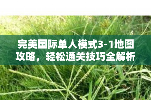 完美国际单人模式3图片