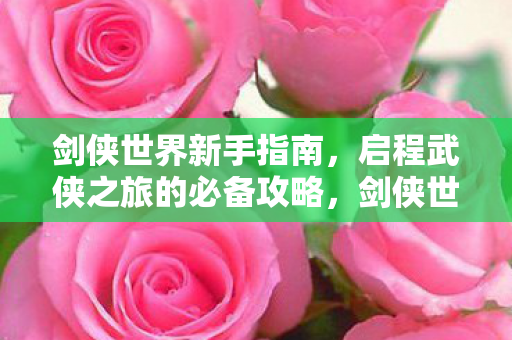 启程武侠之旅的必备攻略图片
