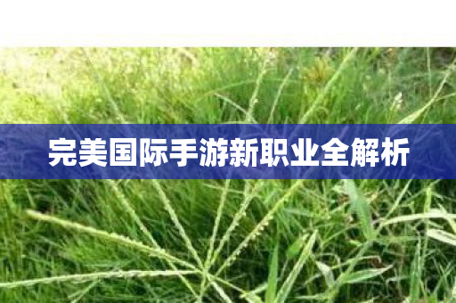 完美国际手游新职业全解析图片