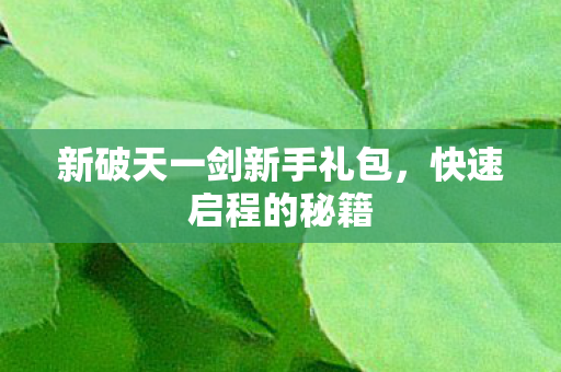 新破天一剑新手礼包图片
