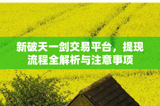 提现流程全解析与注意事项图片