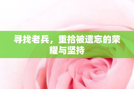 重拾被遗忘的荣耀与坚持图片