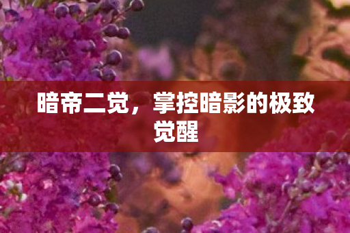 掌控暗影的极致觉醒图片