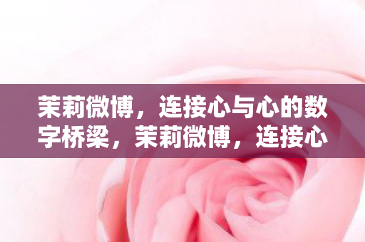 连接心与心的数字桥梁图片