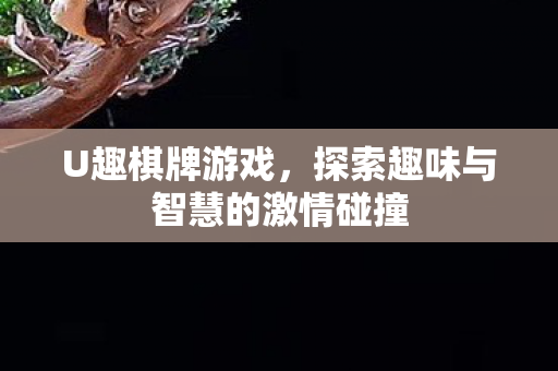 探索趣味与智慧的激情碰撞图片