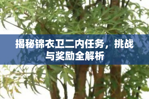 揭秘锦衣卫二内任务图片