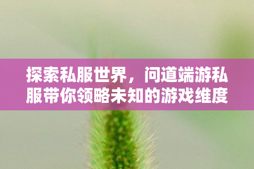 问道端游私服带你领略未知的游戏维度图片
