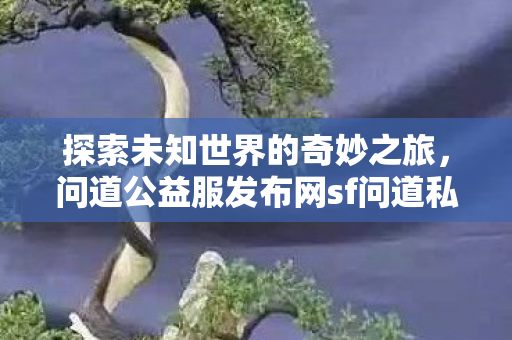 问道公益服发布网sf问道私服图片