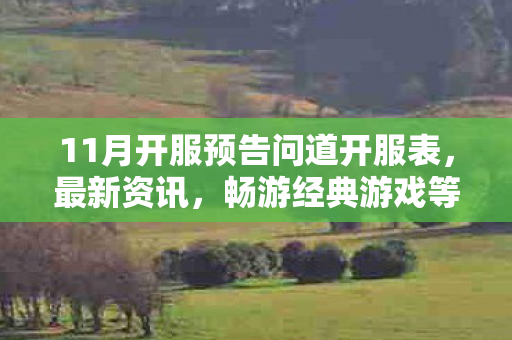 11月开服预告问道开服表图片