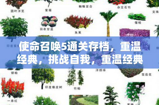 使命召唤5通关存档图片