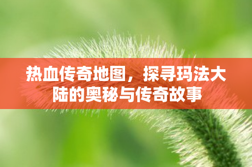 探寻玛法大陆的奥秘与传奇故事图片