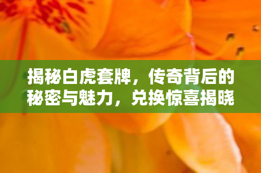 传奇背后的秘密与魅力图片