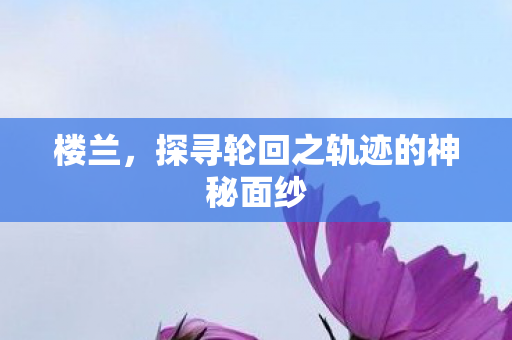 探寻轮回之轨迹的神秘面纱图片