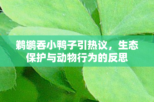 生态保护与动物行为的反思图片
