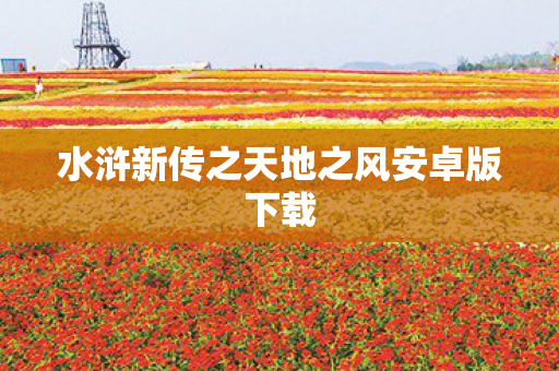 水浒新传之天地之风安卓版下载图片