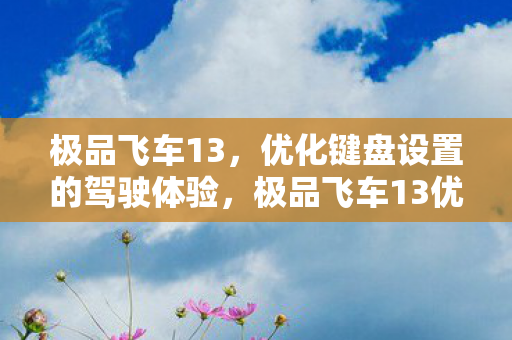 极品飞车13优化键盘设置图片