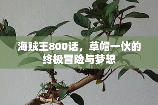 草帽一伙的终极冒险与梦想图片