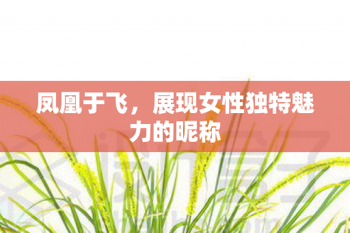展现女性独特魅力的昵称图片