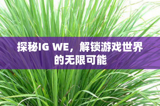 解锁游戏世界的无限可能图片